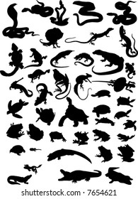 reptile