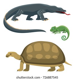 Reptile and amphibian colorful fauna vector illustration reptiloid predator reptiles animals.