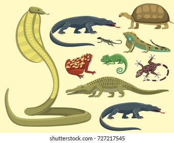 Reptile and amphibian colorful fauna vector illustration reptiloid predator reptiles animals.