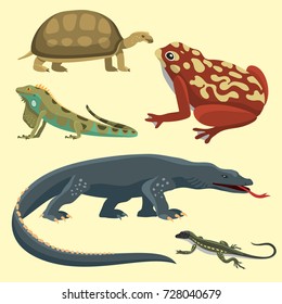 Reptile and amphibian colorful fauna vector illustration, reptiloid predator reptiles animals.