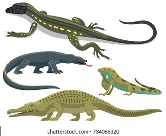 Reptile and amphibian colorful fauna vector illustration reptiloid predator reptiles animals.