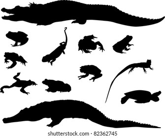 reptile and amphibian silhouettes isolated on white background
