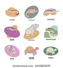 Coleção de vetor colorido desenhado à mão de conjunto animal réptil