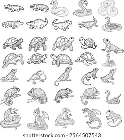 Reptile animals line art vector on white background