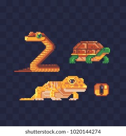 Reptile animals pixel art style ?artoon lizard snake and turtle icon set isolated vector illustration. 8-bit sprite. Design for stickers, logo, embroidery, mobile app.