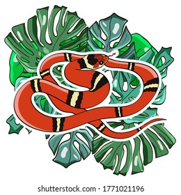 Reptile cartoon illustration. Coral snake on the palm leaves. Vector illustration.