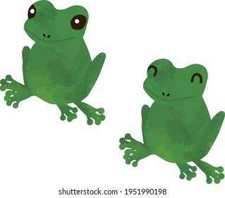 Reptile Green Smiling Frog Set