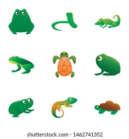 Reptile icon set. Cartoon set of 9 reptile vector icons for web design isolated on white background