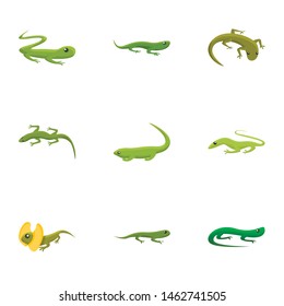 Reptile icon set. Cartoon set of 9 reptile vector icons for web design isolated on white background