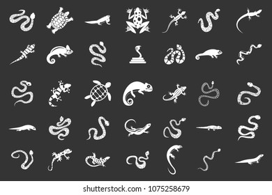 Reptile icon set vector white isolated on grey background 