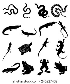 Reptile Icons Set