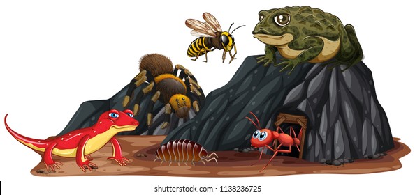 Reptile and insect in nature illustration