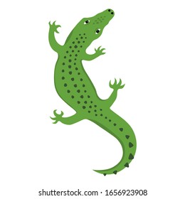 Reptile Lizard or Alligator crocodile top view, wild animal vector isolated, wild animal, cartoon crocodiles, vector illustration isolated on white background