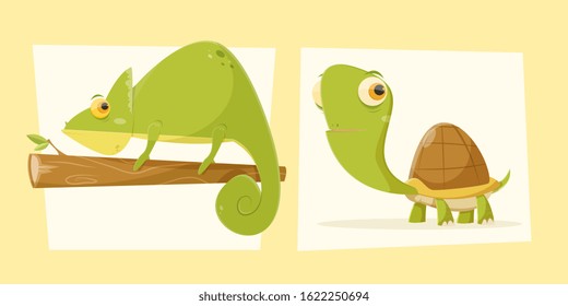 Reptile nature set, chameleon, turtle. Vector illustration