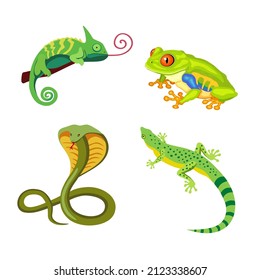 Reptile Set. Wood Frog, Chameleon, Cobra, Gecko. Beautiful Tree Frog With Orange Eyes And Legs, Dangerous Cobra, Cute Chameleon, Green Iguana. Icon, Clipart For Reptile Website, Pet Shop. Vector Flat 