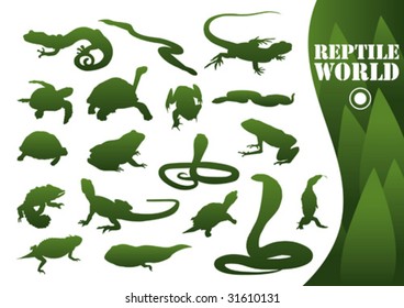 Reptile silhouettes isolated on white. Vector illustration.