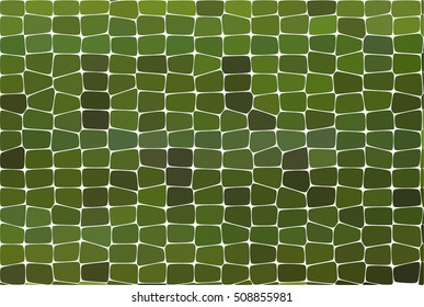 Reptile Skin Alligator and Crocodile Pattern