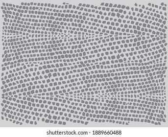 Reptile skin. Animal print background.