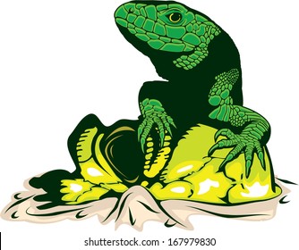 Reptile & Skull