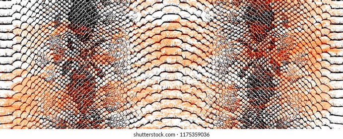 reptile or Snake skin pattern texture.Fashionable print.Fashion and stylish background