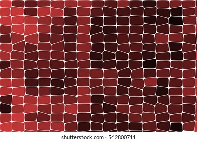 Reptile snakeskin lizard Skin Alligator and Crocodile scales vector