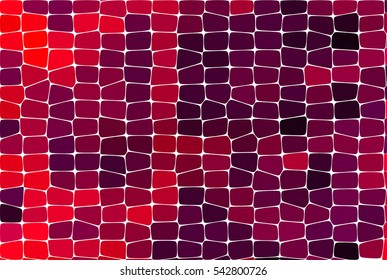 Reptile snakeskin lizard Skin Alligator and Crocodile scales vector