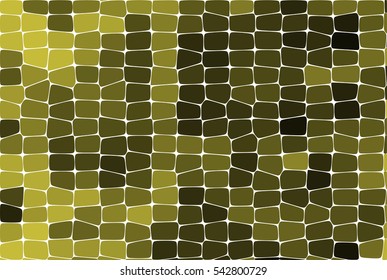 Reptile Snakeskin Lizard Skin Alligator And Crocodile Scales Vector