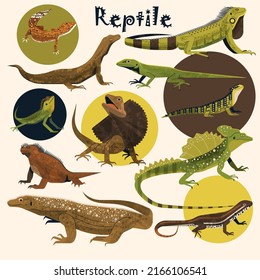 Reptile species icons gecko salamander animals