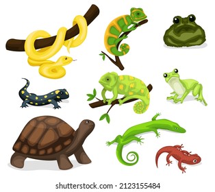 Reptile vector animal reptilian character. Serpent, reptile and amphibians, frog, iguana and python vector illustration set. Cartoon exotic amphibian and reptiles