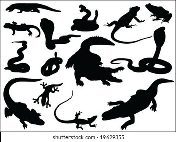 reptile vector collection