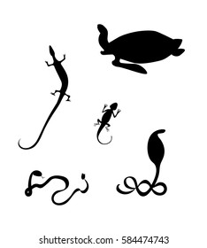 Reptile vector silhouettes. Cobra, lizard, sea turtle, rattlesnake. 