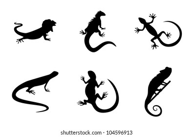 Reptiles