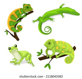 Reptiles and amphibians. Cartoon frog, chameleon, crocodile, lizard and turtle, wildlife animals. Cartoon exotic amphibian and reptiles