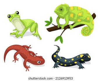 Reptiles and amphibians. Cartoon frog, chameleon, crocodile, lizard and turtle, wildlife animals. Cartoon exotic amphibian and reptiles