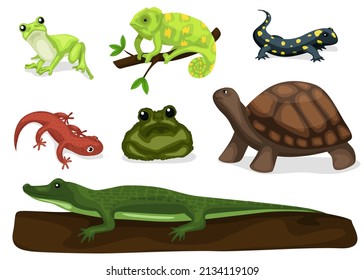 Reptiles and amphibians. Cartoon frog, chameleon, crocodile, lizard and turtle, wildlife animals. Cartoon exotic amphibian and reptiles