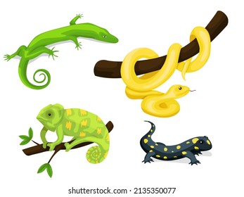 Reptiles and amphibians. Cartoon frog, chameleon, crocodile, lizard and turtle, wildlife animals. Cartoon exotic amphibian and reptiles