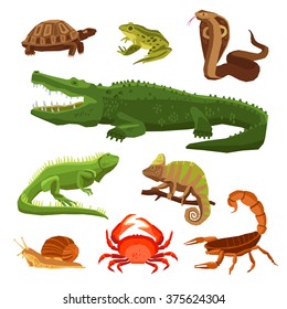Reptiles and amphibians decorative set of cobra crocodile turtle snail scorpion crab icons in cartoon style isolated vector illustration 