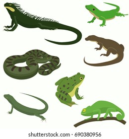 Reptiles and amphibians decorative set icons in cartoon style isolated vector illustration