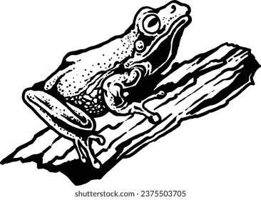 Reptiles o anfibios, ranas en pieza de madera aisladas en ilustración vectorial de fondo blanco