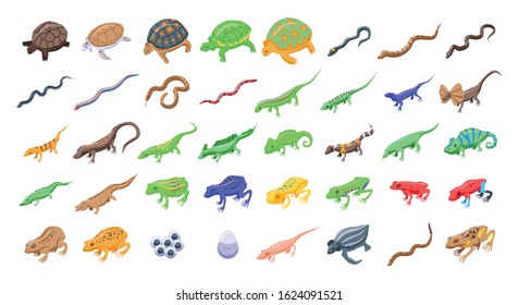 Reptiles and amphibians icons set. Isometric set of reptiles and amphibians vector icons for web design isolated on white background