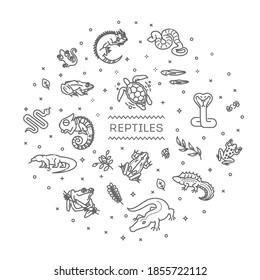 Iconos de reptiles y anfibios. Diseño de líneas