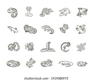 Reptiles and amphibians icons set. Line design
