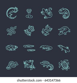 Reptiles and amphibians icons set. Line design