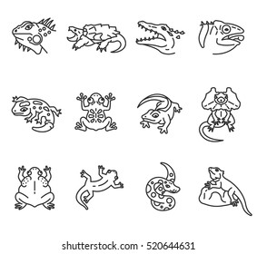 Reptiles and amphibians icons set. Lizards, thin line design. Reptiles, linear symbols collection. isolated vector illustration