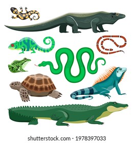 Reptiles and amphibians. Lizard, crocodile, turtle, snake, iguana, salamander, frog, chameleon. Terrarium pet reptile, pond animals vector set. Tropical or wildlife natural fauna characters