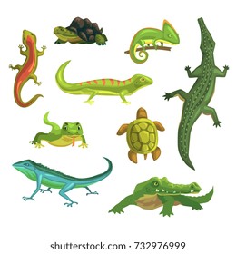 Reptiles and amphibians set of vector Illustrations