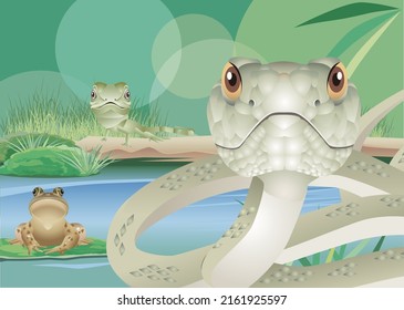 Reptiles and amphibians snakes, lizards and frogs gather and look at us.vector illustration