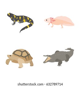 Reptiles & Amphibians vector icons