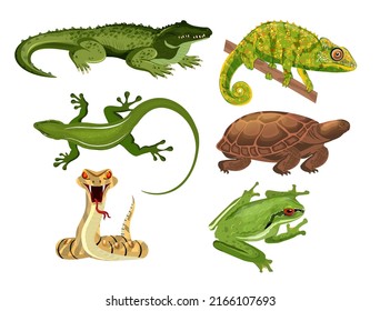 Reptiles Icons Crocodile Gecko Turtle Snake Stock Vector (Royalty Free ...