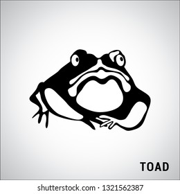 Reptiles icons. Toad